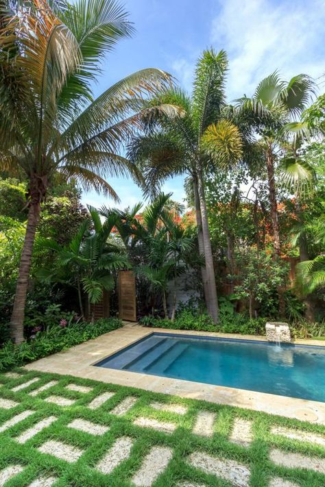 Swimming Pool Design Ideas | Landscaping Ideas and Hardscape Design  | HGTV Palm Trees Around Pool, Tropical Backyard Landscaping, Swimming Pool Landscaping, Hgtv Garden, Pool Landscape, Tropical Backyard, Living Fence, Pool Landscape Design, Landscaping Inspiration