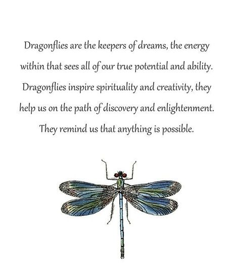 Dainty Tats, Animal Types, Dragonfly Meaning, Dragonfly Quotes, Dragonfly Artwork, Tattoos Infinity, Dragonfly Print, Colorful Dragonfly, Tattoos Mandala