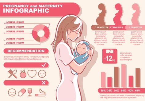 Pregnancy and Maternity Infographic Women Infographic, 1st Trimester, 3rd Trimester, Digital Collage Art, Maternal Health, Trimesters Of Pregnancy, Digital Collage, Infographic Design, Pregnant Women