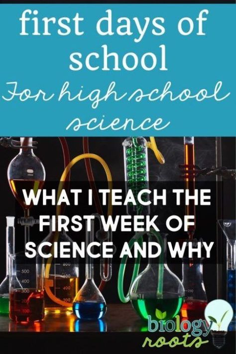 Middle School Science Lab Decorations, Stem Projects Middle School Science, Study Hall Ideas, Anatomy Classroom Decorations, High School Science Projects, High School Science Activities, High School Science Experiments, High School Science Fair Projects, High School Science Fair