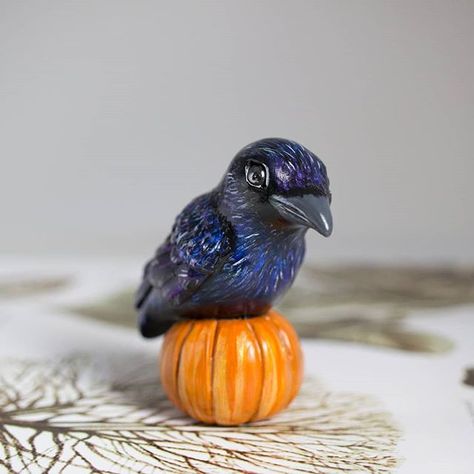 A crow on a tiny pumpkin. For the next update 😀#crow #crowfigurine #crowart #polymerclay Clay Raven, Succulent Painting, A Crow, Crow Art, Army Girlfriend Style, Clay Crafts, Diy And Crafts, Polymer Clay, The Next