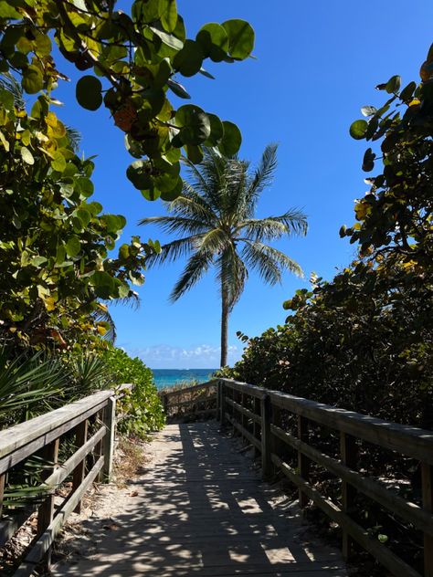 Florida Core Aesthetic, Sailing Aesthetic, Salted Granola, Florida Aesthetic, Florida East Coast, Tiktok Fashion, Aesthetic Life, Aesthetic Tiktok, Coastal Grandma