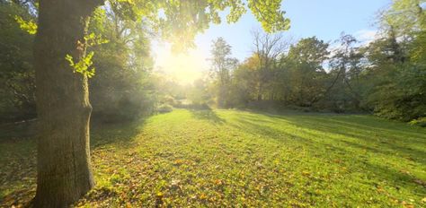 Free HDRI: Sunny Vondelpark Hdri Images, Free Sky, Art Wallpaper, Sunnies, Country Roads, Free Download, Spa, Birds, Exterior