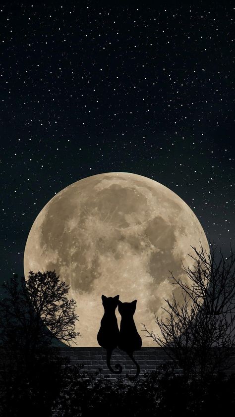 Iphone Wallpaper Moon, Eevee Wallpaper, Pretty Phone Backgrounds, Cats Art Drawing, Pretty Wallpapers Tumblr, Animal Illustration Art, Dreamy Artwork, Space Artwork