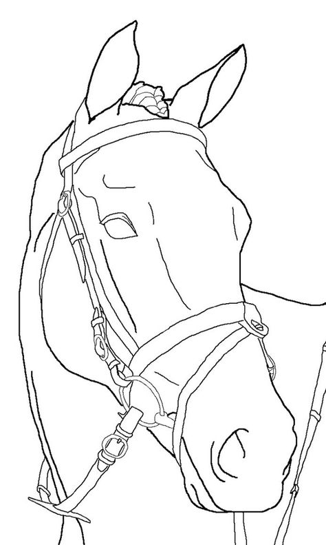 Horse Drawing Tutorial, Horse Art Drawing, Horse Sketch, Animal Drawings Sketches, Horse Coloring Pages, Horse Artwork, Horse Drawing, Horse Drawings, Equine Art