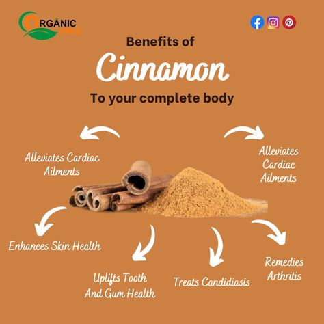 What is Cinnamon? It is brownish in color and is obtained from the bark of the trees belonging to the Cinnamomum family. Mostly used in the form of a powder of the bark or leaves or as oil, cinnamon is an extensively prized ingredient in the holistic treatments of Ayurveda, Siddha, Unani, and even ancient Chinese remedies for its magical healing powers. Benefits Of Cinnamon, Cinnamon Benefits, Gum Health, Ancient Chinese, Healing Powers, Health Remedies, Skin Health, Ayurveda, Gum