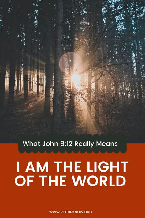 I Am The Light Of The Lord - John 8:12 I Am The Light, The Gospel Of John, Letters To God, John 8 12, Gospel Of John, John 8, I Am Statements, Light Of Life, Light Of The World