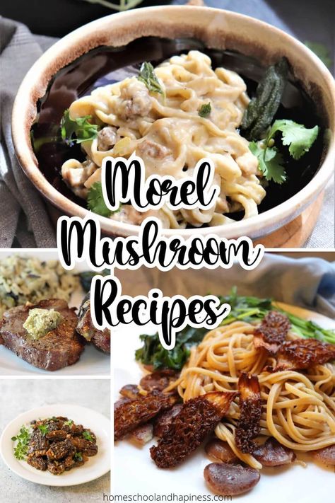 Morel Mushroom Recipes Dried Morel Mushroom Recipes, Morel Recipes, Morel Mushroom Recipes, Mushrooms Sauteed, Spring Snacks, Poached Lobster, Morel Mushrooms, Mushroom Cream Sauces, Garlic Scapes