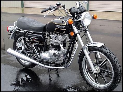 Triumph Bonneville Custom, Triumph Motorbikes, Triumph Motor, Vintage Honda Motorcycles, Triumph Bikes, Triumph Scrambler, British Motorcycles, Indian Motorcycles, Old Motorcycles