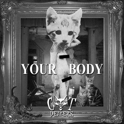 Cat Dealers - Your Body by Cat Dealers on SoundCloud Dj Wallpaper, Cat Dealers, Spinnin' Records, Deadpool Wallpaper, Discover Music, Winter Sunset, Song Playlist, Deep House, Cat Gif