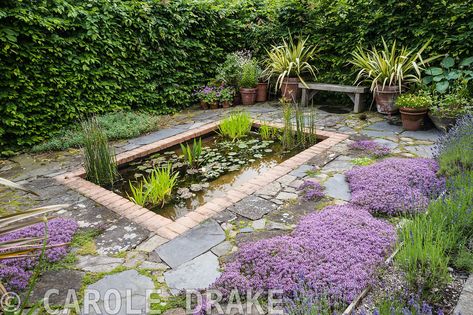 Small Enclosed Garden, Rectangular Pond, Enclosed Garden, Patio Pond, Garden Pond Design, Garden Water Feature, Mediterranean Plants, Cottage Garden Design, Pond Design