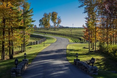 Winding Driveway, Entrance Landscaping, Horse Pasture, Horses Stuff, Luxury Horse, Farm Entrance, Stable Style, Tree Lined Driveway, Dream Horse Barns