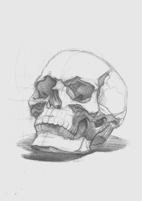 Skull Sketch, Skeleton Drawings, Desen Realist, Skull Art Drawing, Výtvarné Reference, Human Anatomy Drawing, Seni Dan Kraf, Human Anatomy Art, 인물 드로잉