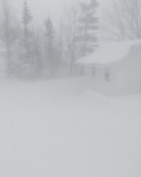 Fancy a walk in the back yard? Amid a blizzard warning, forecast with numbers like 90 cms of snow and 120 km winds and a state of emergency declared..THIS bullshit is my back yard lol. #blizzard #yyt #snowstorm #bullshitrightthere #bullshit Blizzard Painting, Snowstorm Aesthetic, Blizzard Photography, Blizzard Aesthetic, Arctic Scenery, Strange Dream, Snow Blizzard, Book Thief, Novel Ideas