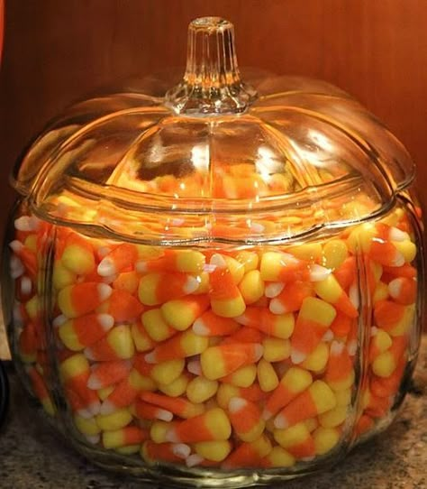 fall Childhood Halloween, Halloween Games For Kids, Ghost Girl, Halloween Candy Corn, Fall Mood, Spooky Szn, Love Autumn, Glass Pumpkins, Halloween Diy Crafts