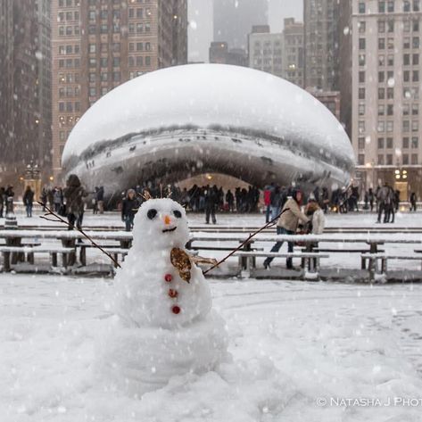 Chicago At Christmas, Snow In Chicago, Chicago Sights, Winter In Chicago, I Love Chicago, Chicago Snow, Chicago Christmas, 2022 Goals, Chicago Aesthetic