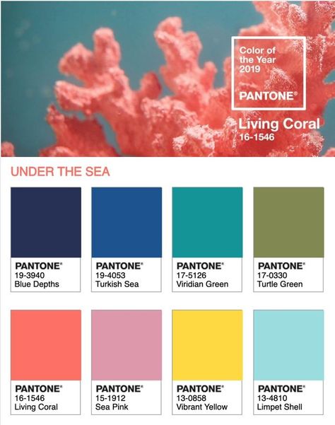 Under The Sea Palette, Reef Color Palette, Coral Colour Scheme, Sea Color Pallette, Coral Reef Palette, Coral Reef Mood Board, Under The Sea Colour Palette, Ocean Color Scheme, Coral Reef Color Palette