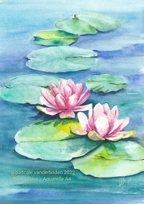 Aquarelle A4 de Vanderlinden Pascale Watercolor Lily Pads, Watercolor Water Lily, Lily Pad Watercolor, Lilypad Drawing, Waterlily Drawing, Waterlily Watercolor, Lotus Flower Watercolor, Water Lily Drawing, Water Lily Art