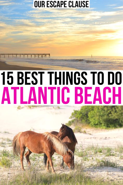 North Carolina's Crystal Coast is home to some phenomenal sights. Here are the best things to do in Atlantic Beach NC and beyond!  what to do in atlantic beach nc | atlantic beach north carolina travel guide | vacation atlantic beach nc | best beaches in north carolina | southern outer banks north carolina | fort macon state park nc | shackleford banks nc | atlantic beach things to do in | best places to visit in north carolina | best beaches in the south | Atlantic Beach North Carolina, Atlantic Beach Florida, Outer Banks North Carolina Vacation, Emerald Isle North Carolina, Atlantic Beach Nc, Zelt Camping, Emerald Isle Nc, Usa Summer, North Carolina Vacations