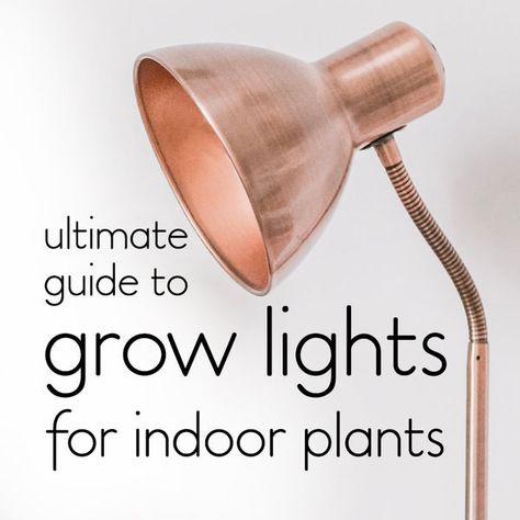 Cheap Plants, Indoor Tree, Grow Light Bulbs, House Lamp, Led House, Light Guide, Grow Lamps, Plant Care Houseplant, Indoor Jungle