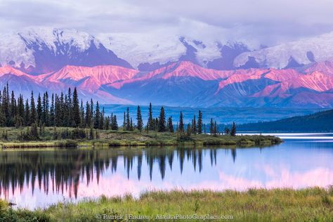 AlaskaPhotoGraphics | Mountains Mountain Panorama, Beauty Planet, Denali National Park, Morning Light, Landscape Photos, Alaska, National Park, Planets, National Parks