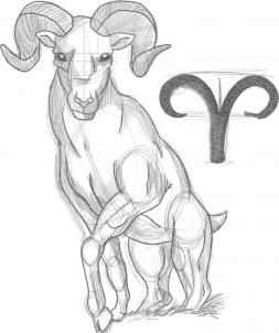 how to draw zodiac sign aries step 5 Aries Drawing, Badass Drawings, Aries Art, Zodiac Signs Symbols, Aries Tattoo, Art Sketches Doodles, Zodiac Signs Aries, Wild Creatures, Guided Drawing