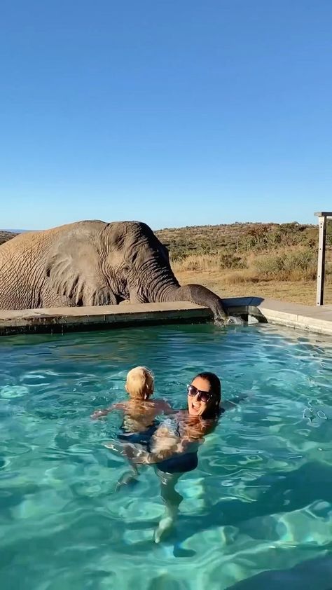 beautifuldestinations on Instagram: Collecting memories with @wirth.a.trip. 😍 Disclaimer: the pool doesn't contain chlorine or any added chemicals, making it perfectly safe… Tommee Profitt, Provinces Of South Africa, Africa Destinations, Amazing Places On Earth, Safari Lodge, Game Reserve, Travel Videos, The Pool, Pool Party