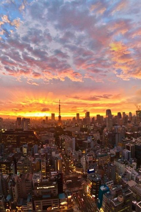 Sunset in Tokyo City, Japan Tokyo Wallpaper Iphone, Tokyo Wallpaper, Tokyo Skyline, Sunrise Wallpaper, Japan Image, City Japan, Vision Board Images, Tokyo City, Time Images