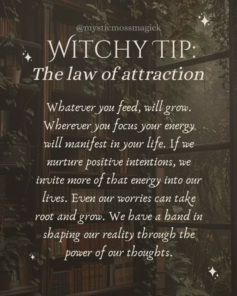 Change your mindset, stay mindful of where you’re placing your energy and thoughts and notice that things start to shift and manifest differently. The 12 laws of the universe can be a large part of many witchcraft practices 🌙🍁🌿✨🍂 . . . #greenwitch #kitchenwitch #hedgewitch #cottagewitch #hearthwitch #forestwitch #witch #witchcraft #witchy #witches #witchesmagazine #witchessociety #witchmagazine #witchymagazine #moonwitch #mystic #moss #magick #magic #manifestation #lawofattraction #witchaesth... Witchy Tips Magick, Witchy Quotes Spiritual, Witchy Blessings, Birthday Witchcraft, Witch Quotes Aesthetic, Funny Witch Quotes, Witch Blessings, Witch Affirmations, Witch Manifestation