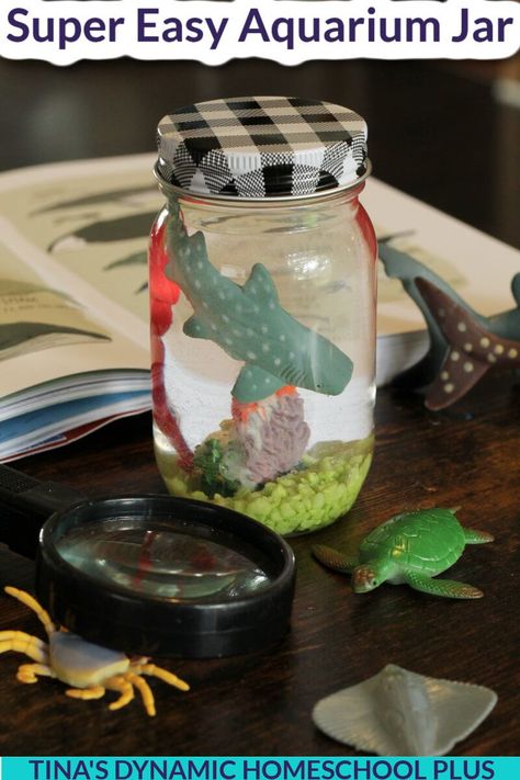 Super Easy and Fun Aquarium Jar Craft For Summer Activities for Middle Schoolers. Your kids will love this fun aquarium jar craft for summer activities for middle schoolers. Whether you’re diving into a study about the oceans or doing a shark unit study, hands-on activities are the way to go. Either use an upcycled jar or a mason jar from Dollar Tree. This easy aquarium craft for summer activities for middle schoolers is a multisensory approach to learning. #summeractivitiesformiddleschoolers Aquarium Jar, Crafts For Middle Schoolers, Activities For Middle Schoolers, Ocean Unit Study, Jar Aquarium, Craft For Summer, Aquarium Craft, Summer Homeschool, Plastic Mason Jars