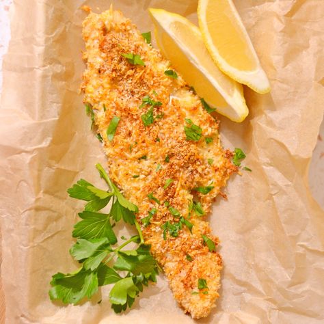 Parmesan Crusted Baked Walleye Pickerel Recipes, Grilled Walleye, Panko Recipes, Walleye Recipes, Walleye Fish Recipes, Fish Recipes Baked, Baked Fish Recipes, Tot Casserole, Parmesan Crusted