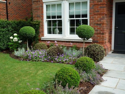 New Build Front Garden Ideas, Front Garden New Build Uk, Bungalow Front Garden Ideas Uk, Evergreen Front Garden Uk, New Build Front Garden Ideas Uk, Front Garden London, New Build Garden Ideas, Garden Design Layout Landscaping, Garden Ideas Driveway