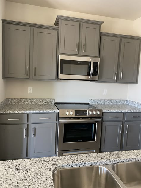 Gray Cabinets With Black Countertops, Gray Cabinets With Granite Countertops, Gray Cabinet Kitchen, Kitchen Design Grey, Grey Wood Kitchen, Grey Kitchen Cabinets Stainless Steel Appliances, Beige And Grey Kitchen, Behr Ultra Flannet Gray Kitchen Cabinet, Grizzle Gray Cabinets