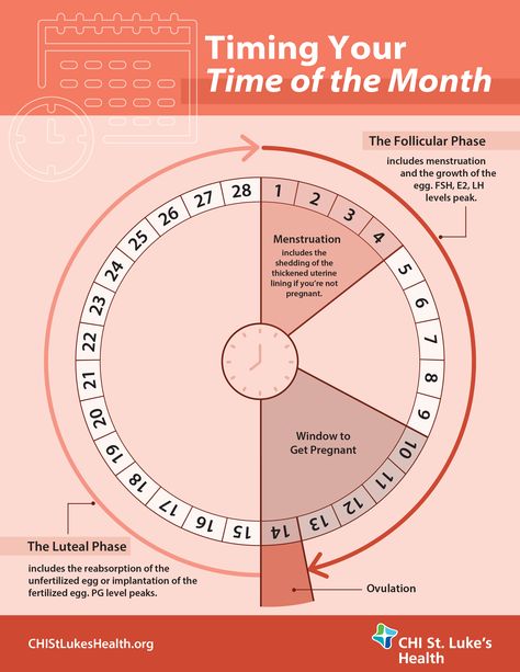 Menstrual Cycle Infographic Menstrual Cycle Days, How To Track Your Period, How To Track Ovulation Cycle, Menstrual Facts, Menstrual Cycle Chart, Menstrual Cycle Calendar, Ovulatory Cycle, Tracking Menstrual Cycle, Baby Prayers