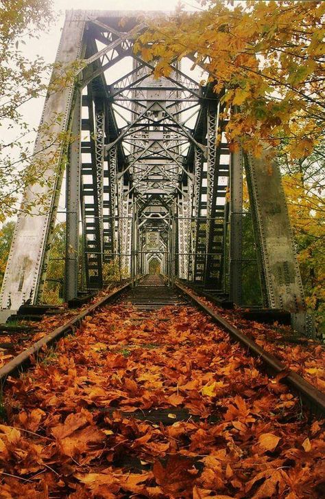 #arquitectura #estructuras #ferrocarril  #railway #architecture #estructures 1692 Salem, Salem Trip, Autumn Bridge, Salem Mass, Salem Massachusetts, Salem Oregon, Witch Trials, Salem Ma, Salem Witch