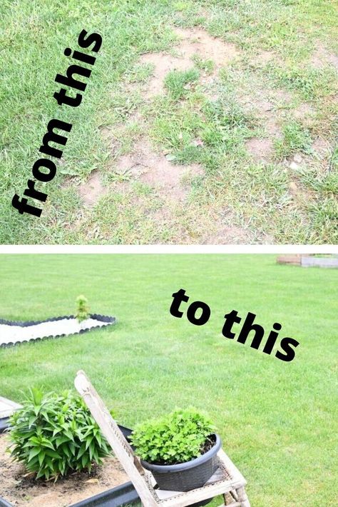 Grass Patches Lawn, How To Make Grass Grow, Grass Ideas For Backyard, How To Fix Grass Lawn, How To Fix Patchy Grass Lawn, How To Make Grass Green, Ideas For Areas Where Grass Wont Grow, How To Get Grass To Grow In Bare Spots, How To Get Grass To Grow