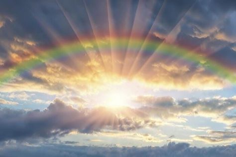 Rainbow Photography Nature, Gods Promise, Rainbow Wall Mural, Rainbow Images, Rainbow Photography, Peel And Stick Wall Mural, Black Ground, Prophetic Art, Rainbow Sky