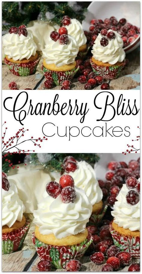 Cranberry Bliss Cupcakes, Cranberry Cupcakes Recipe, December Cupcakes Ideas, Cranberry Cupcakes, Perfect Christmas Dessert, Tasty Appetizers, Cranberry Bliss, Hot Fudge Cake, Christmas Bakes