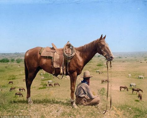 The horse wrangler, Bonham, Texas, June 1910. Old West in Color: Colorized Pictures of Cowboys From the Late 19th to Early 20th Centuries ~ vintage everyday Horse Wrangler, Texas Cowboys, Cowboy Aesthetic, Rare Historical Photos, American Frontier, Colorized Photos, Cowboy Art, History Photos, Historical Pictures