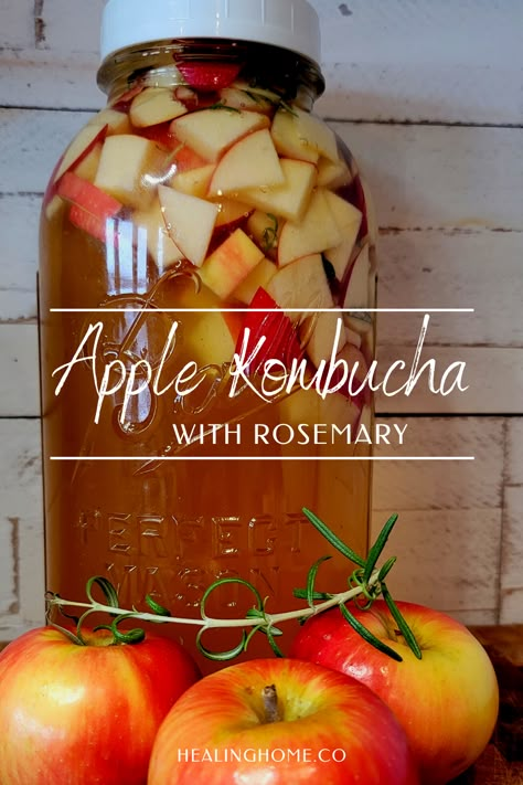 Kombucha is a delicious nectar when it doesn't have any flavor added, but add some flavor and it becomes a powerhouse of nutrition and a delicious tangent from typical health drinks. This Apple Kombucha has the added spunk of rosemary that bring a subtle burst of flavor that will have you coming back to your refrigerator for more and more. #kombuchaflavor #kombucharecipe #thm #trimhealthymama Kombucha Flavors Recipes, Resep Vegan, Kombucha Benefits, Kombucha Flavors, Sugar Free Lifestyle, Trim Healthy Mama Plan, Kombucha Recipe, Homemade Kombucha, Fat Burning Tea