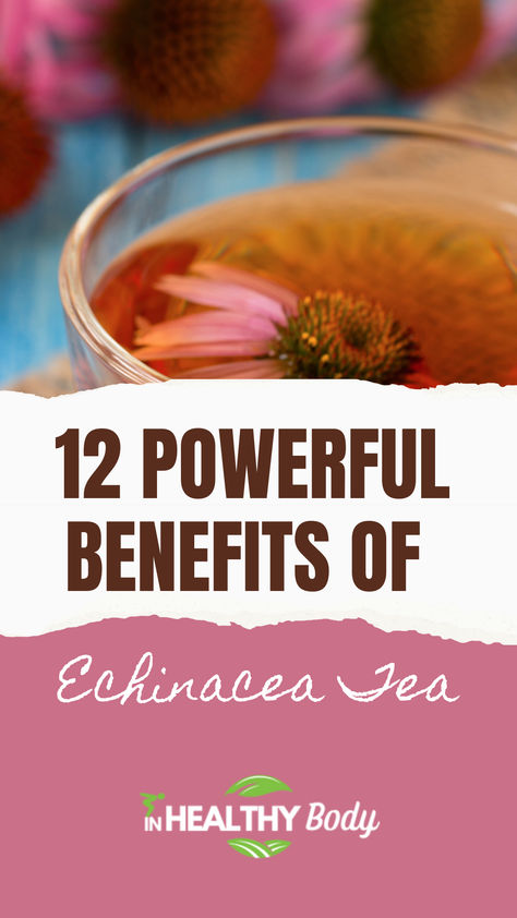 Echinacea tea with echinacea pink flowers. Benefits Of Echinacea, Echinacea Tea Recipes, Echinacea Tea Benefits, Tea With Honey, Echinacea Benefits, Herb Life, Common Diseases, Echinacea Tea, Echinacea Purpurea