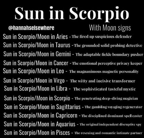 Sun In Scorpio Astrology, Aquarius Sun Scorpio Moon, Rising Scorpio Ascendant, Scorpio Full Moon Crystals, Scorpion Facts, November Born, Scorpio Ascendant, Sun In Scorpio, Scorpio Man