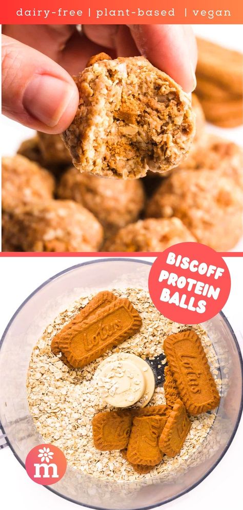 Protein Balls Vegan, Biscoff Protein, Protein Balls Healthy, Biscoff Recipes, Best Vegan Protein, Healthy School Snacks, Preworkout Snack, Wholesome Snacks, Lotus Biscoff