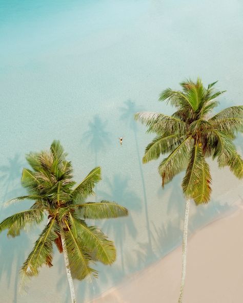 Slow mornings in Koh Kood, Thailand 🌴 I love fast-paced travel, but I also love those slow days like these where you can just relax and enjoy the view. A week on a tiny island was exactly what I needed. #kohkood #kohkoodisland #kohkoodthailand #thailandtrip #thailandinstagram #amazingthailand #islandlifestyle #islandliving #islandparadise #sandandsea #palmtreesfordays Koh Kood, Slow Days, Tiny Island, Island Life Style, Island Living, What I Need, Just Relax, Fast Paced, Thailand Travel