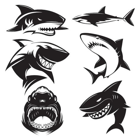 Shark Project, Teeth Logo, Fish Sketch, Happy Shark, Shark Silhouette, Shark Illustration, Shark Stuff, Snowboard Design, Shark Graphic