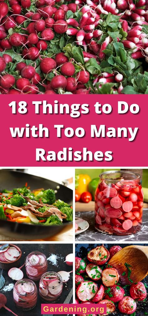 How To Cook Radishes, Radish Chips, Fresh Eating, Radish Greens, Low Acid Recipes, Radish Recipes, Roasted Radishes, Pickled Radishes, Radish Salad