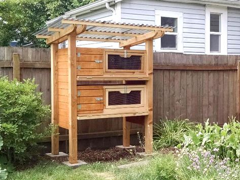 The Quail Hutch Plans Coturnix Quail Housing, Quail Coop Plans, Diy Quail Cage, Quail Cage Plans, Quail Coop Ideas Diy, Terrace Driveway, Backyard Quail, Quail Hutch, Quail House