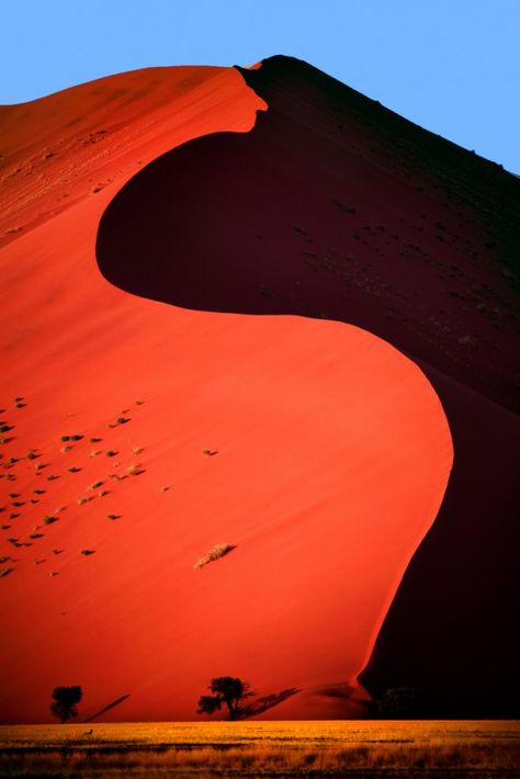 Dune 45, Namibian Desert - Dune 45 is a star dune in the Sossusvlei area of the Namib Desert in Namibia. Its name comes from the fact that it is at the 45th kilometre of the road that connects the Sesriem gate and Sossusvlei. Standing over 170m, it is composed of 5 million year old sand that is detritus accumulated by the Orange River from the Kalahari Desert and then blown here. Sossusvlei Namibia, Namibia Africa, Namib Desert, Places Around The World, The Sand, Aladdin, Amazing Nature, Natural Wonders, Beautiful World