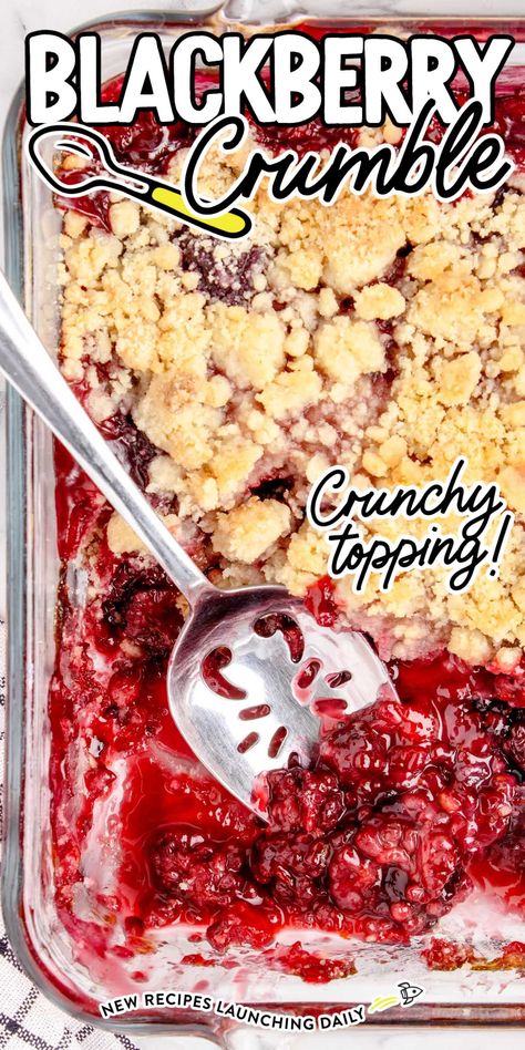 Blackberry Dessert Recipes, Blackberry Dessert, Blackberry Crumble, Berry Recipes, Blackberry Recipes, Dump Cakes, Fruit Crumble, Spaceships And Laser Beams, Sweet Treats Desserts