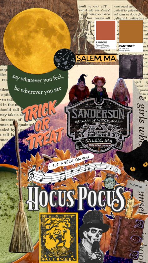 Sanderson Sisters & Hocus Pocus #halloween #fall #salemaesthetic #autumn #spooky #screensaver #hocuspocusasethtic #hocuspocusmovie #hocuspocusaesthetic #halloweenseason #seasonal Hocus Pocus Movie, Hocus Pocus Halloween, Sanderson Sisters Hocus Pocus, Sanderson Sisters, Halloween Fall, Hocus Pocus, Halloween Season, Geek Stuff, How Are You Feeling